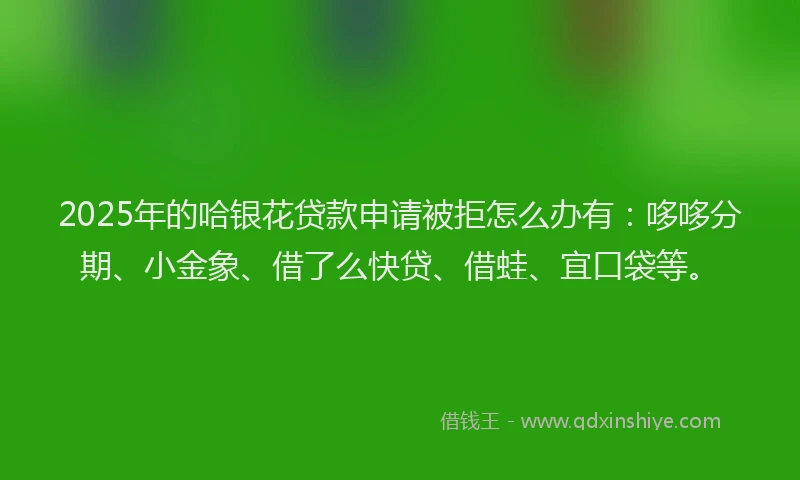 2025年的哈银花贷款申请被拒怎么办有：哆哆分期、小金象、借了么快贷、借蛙、宜口袋等。