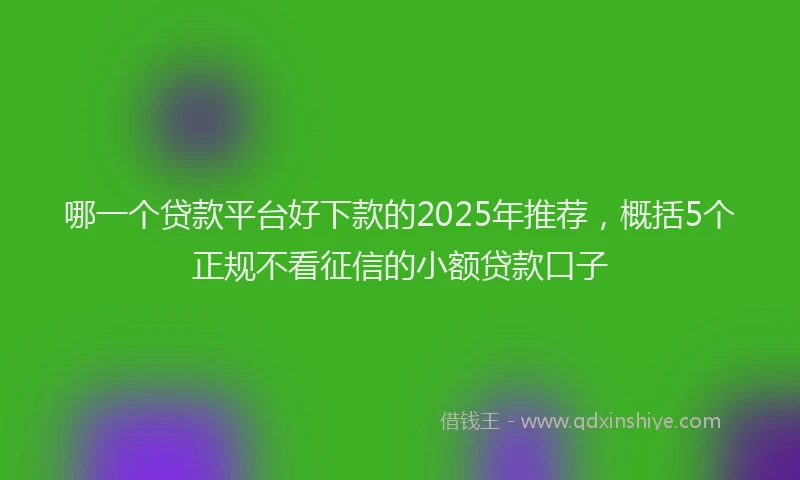 哪一个贷款平台好下款的2025年推荐，概括5个正规不看征信的小额贷款口子