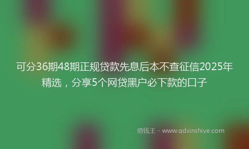 可分36期48期正规贷款先息后本不查征信2025年精选，分享5个网贷黑户必下款的口子