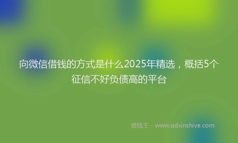 向微信借钱的方式是什么2025年精选，概括5个征信不好负债高的平台
