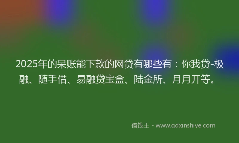 2025年的呆账能下款的网贷有哪些有：你我贷-极融、随手借、易融贷宝盒、陆金所、月月开等。