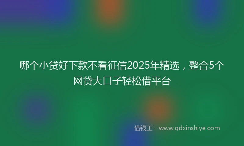 哪个小贷好下款不看征信2025年精选,整合5个网贷大口子轻松借平台
