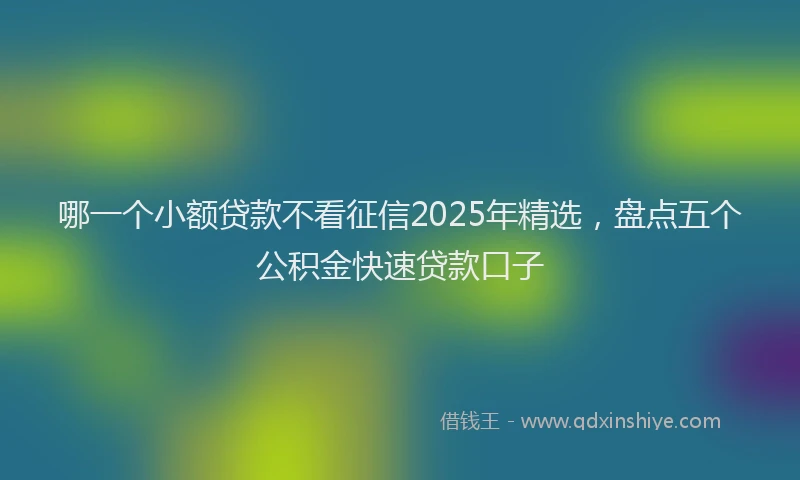 哪一个小额贷款不看征信2025年精选，盘点五个公积金快速贷款口子