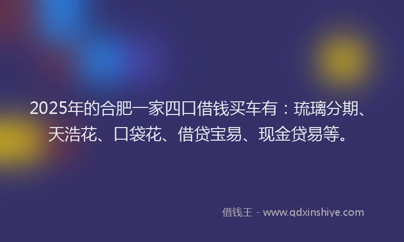 2025年的合肥一家四口借钱买车有：琉璃分期、天浩花、口袋花、借贷宝易、现金贷易等。