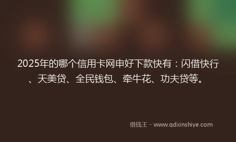 2025年的哪个信用卡网申好下款快有：闪借快行、天美贷、全民钱包、牵牛花、功夫贷等。