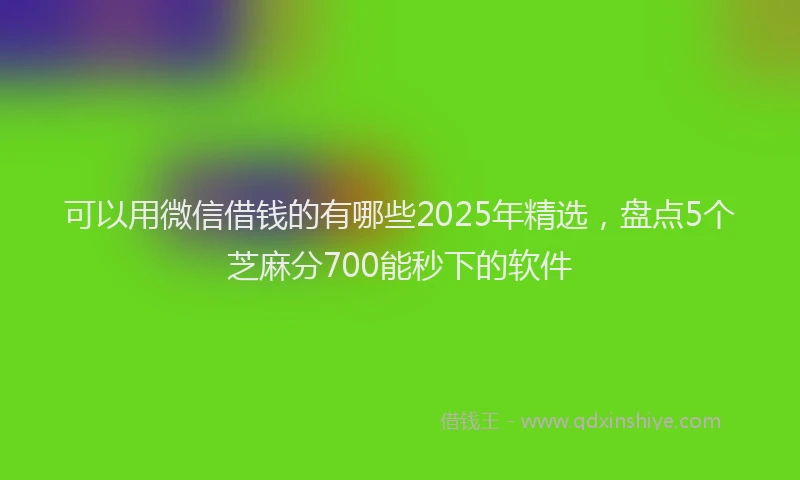 可以用微信借钱的有哪些2025年精选，盘点5个芝麻分700能秒下的软件