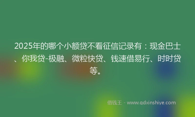 2025年的哪个小额贷不看征信记录有：现金巴士、你我贷-极融、微粒快贷、钱速借易行、时时贷等。