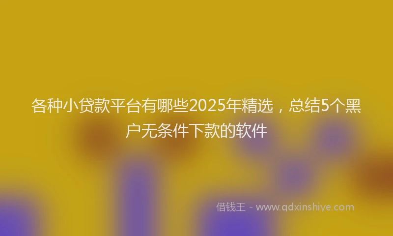 各种小贷款平台有哪些2025年精选，总结5个黑户无条件下款的软件