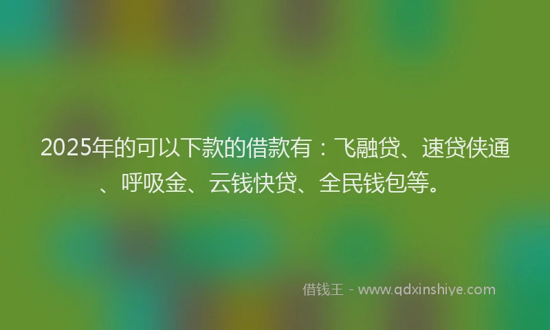 2025年的可以下款的借款有：飞融贷、速贷侠通、呼吸金、云钱快贷、全民钱包等。