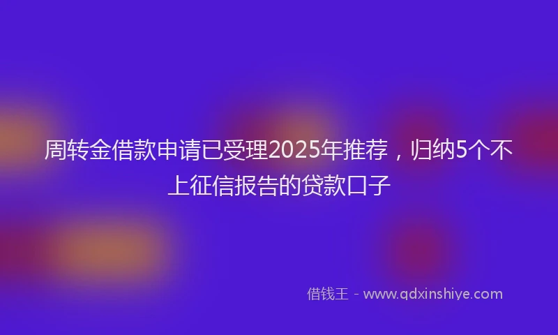 周转金借款申请已受理2025年推荐，归纳5个不上征信报告的贷款口子