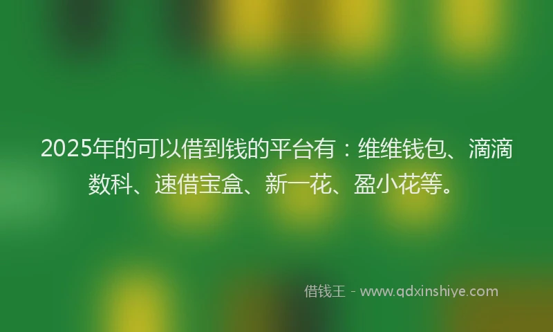 2025年的可以借到钱的平台有：维维钱包、滴滴数科、速借宝盒、新一花、盈小花等。