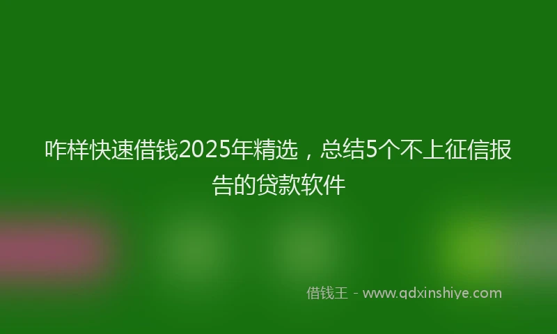 咋样快速借钱2025年精选，总结5个不上征信报告的贷款软件