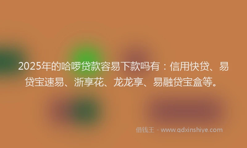 2025年的哈啰贷款容易下款吗有：信用快贷、易贷宝速易、浙享花、龙龙享、易融贷宝盒等。