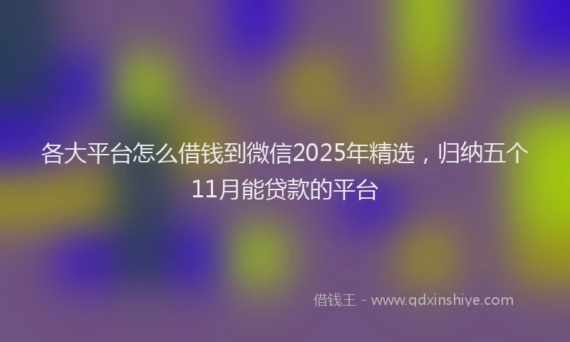 各大平台怎么借钱到微信2025年精选，归纳五个11月能贷款的平台