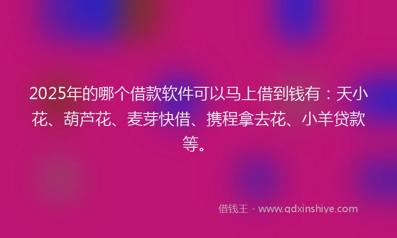 2025年的哪个借款软件可以马上借到钱有：天小花、葫芦花、麦芽快借、携程拿去花、小羊贷款等。