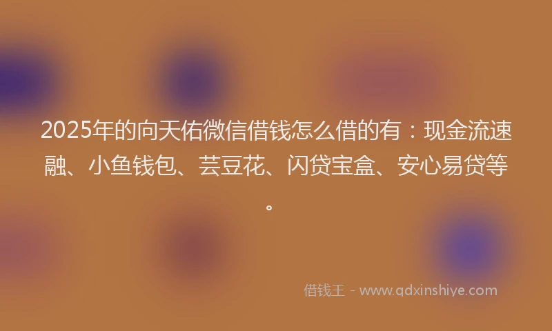 2025年的向天佑微信借钱怎么借的有：现金流速融、小鱼钱包、芸豆花、闪贷宝盒、安心易贷等。