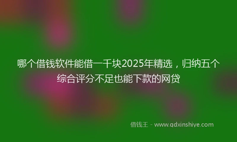 哪个借钱软件能借一千块2025年精选，归纳五个综合评分不足也能下款的网贷