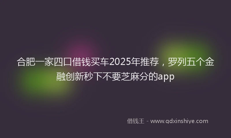 合肥一家四口借钱买车2025年推荐，罗列五个金融创新秒下不要芝麻分的app
