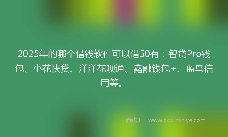2025年的哪个借钱软件可以借50有：智贷Pro钱包、小花快贷、洋洋花呗通、鑫融钱包+、蓝鸟信用等。