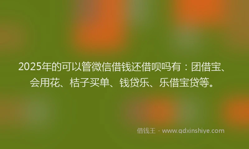 2025年的可以管微信借钱还借呗吗有：团借宝、会用花、桔子买单、钱贷乐、乐借宝贷等。
