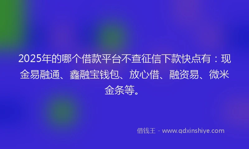 2025年的哪个借款平台不查征信下款快点有：现金易融通、鑫融宝钱包、放心借、融资易、微米金条等。