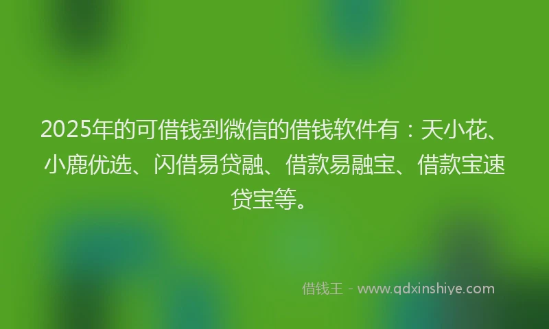 2025年的可借钱到微信的借钱软件有：天小花、小鹿优选、闪借易贷融、借款易融宝、借款宝速贷宝等。