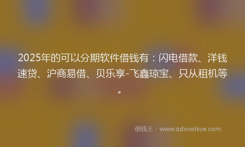 2025年的可以分期软件借钱有：闪电借款、洋钱速贷、沪商易借、贝乐享-飞鑫琼宝、只从租机等。