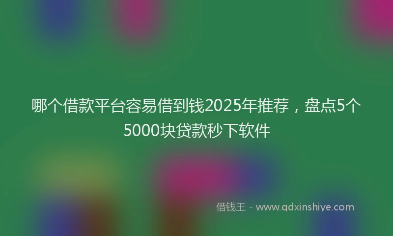 哪个借款平台容易借到钱2025年推荐,盘点5个5000块贷款秒下软件