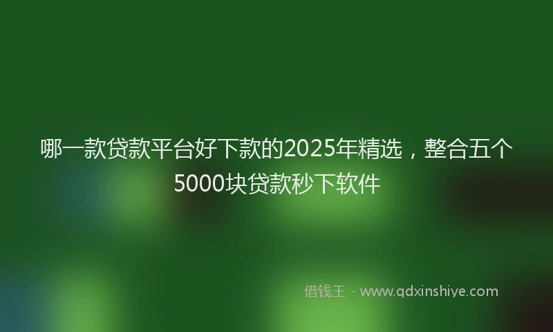 哪一款贷款平台好下款的2025年精选，整合五个5000块贷款秒下软件