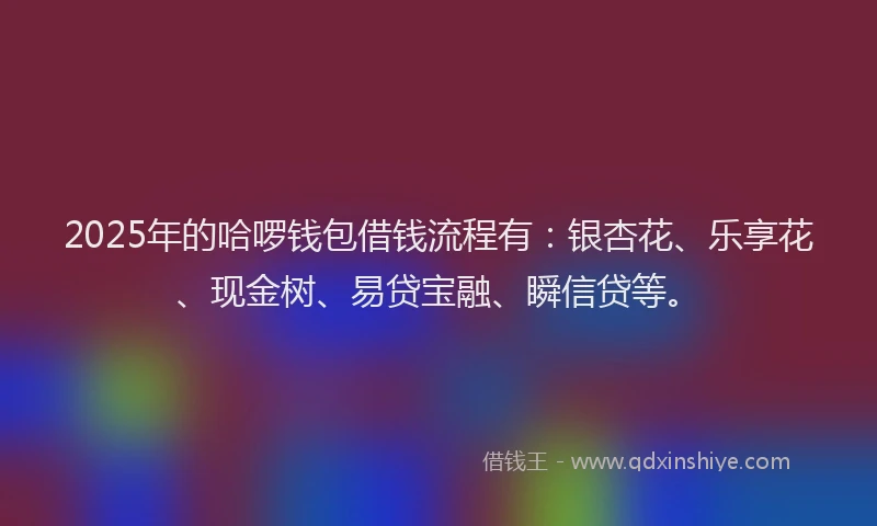 2025年的哈啰钱包借钱流程有：银杏花、乐享花、现金树、易贷宝融、瞬信贷等。