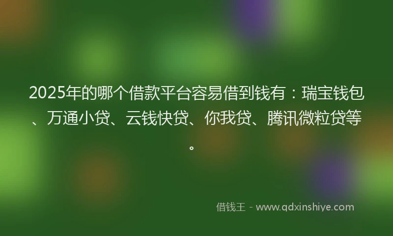 2025年的哪个借款平台容易借到钱有：瑞宝钱包、万通小贷、云钱快贷、你我贷、腾讯微粒贷等。
