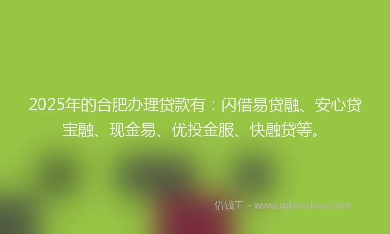 2025年的合肥办理贷款有：闪借易贷融、安心贷宝融、现金易、优投金服、快融贷等。