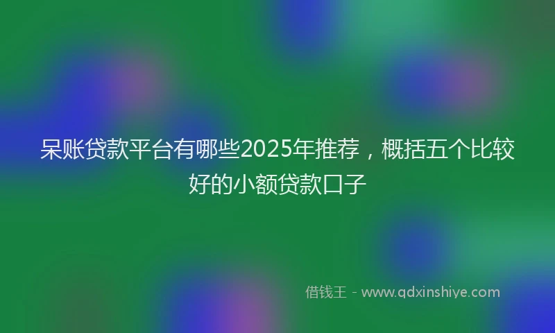 呆账贷款平台有哪些2025年推荐，概括五个比较好的小额贷款口子