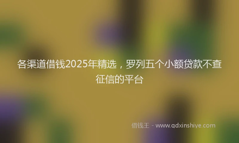 各渠道借钱2025年精选，罗列五个小额贷款不查征信的平台