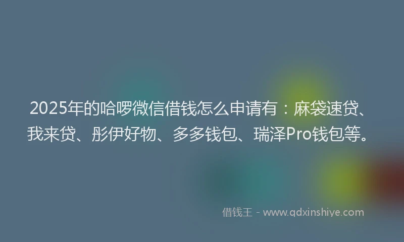 2025年的哈啰微信借钱怎么申请有:麻袋速贷、我来贷、彤伊好物、多多钱包、瑞泽Pro钱包等。