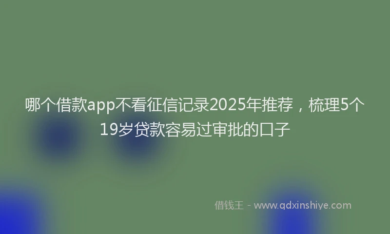 哪个借款app不看征信记录2025年推荐，梳理5个19岁贷款容易过审批的口子