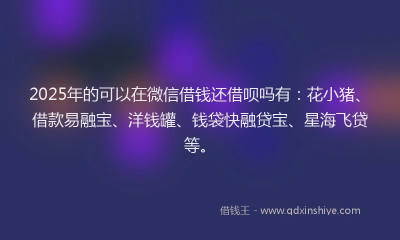 2025年的可以在微信借钱还借呗吗有：花小猪、借款易融宝、洋钱罐、钱袋快融贷宝、星海飞贷等。