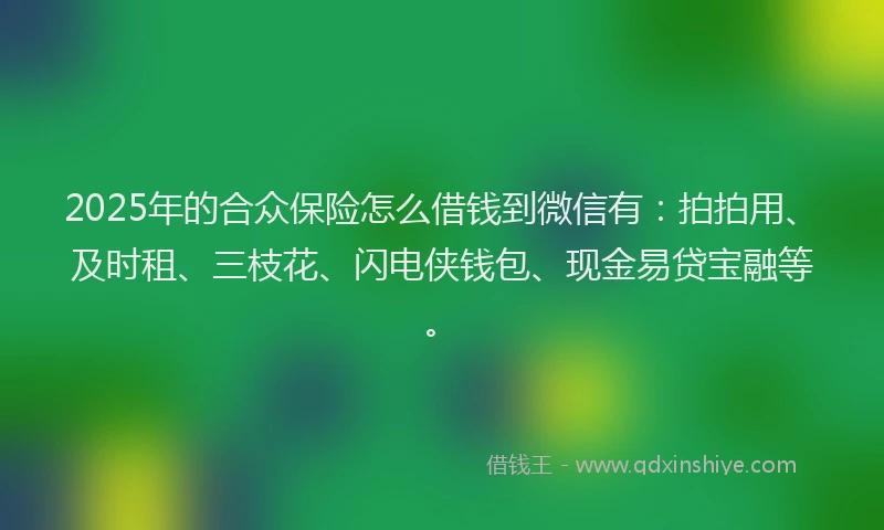 2025年的合众保险怎么借钱到微信有：拍拍用、及时租、三枝花、闪电侠钱包、现金易贷宝融等。