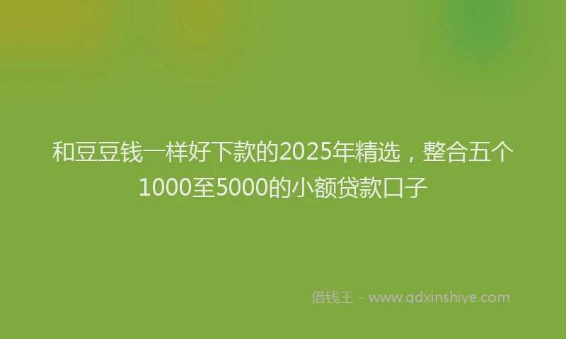 和豆豆钱一样好下款的2025年精选，整合五个1000至5000的小额贷款口子