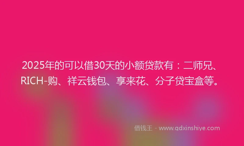 2025年的可以借30天的小额贷款有：二师兄、RICH-购、祥云钱包、享来花、分子贷宝盒等。