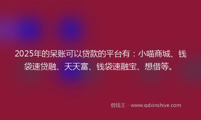 2025年的呆账可以贷款的平台有：小喵商城、钱袋速贷融、天天富、钱袋速融宝、想借等。