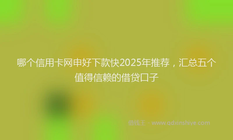 哪个信用卡网申好下款快2025年推荐,汇总五个值得信赖的借贷口子
