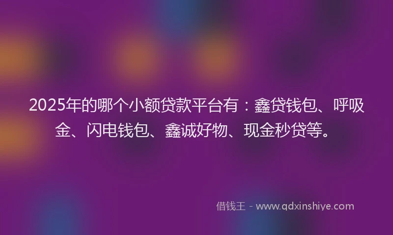 2025年的哪个小额贷款平台有：鑫贷钱包、呼吸金、闪电钱包、鑫诚好物、现金秒贷等。