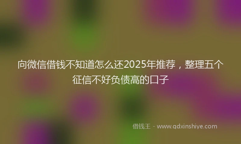 向微信借钱不知道怎么还2025年推荐，整理五个征信不好负债高的口子
