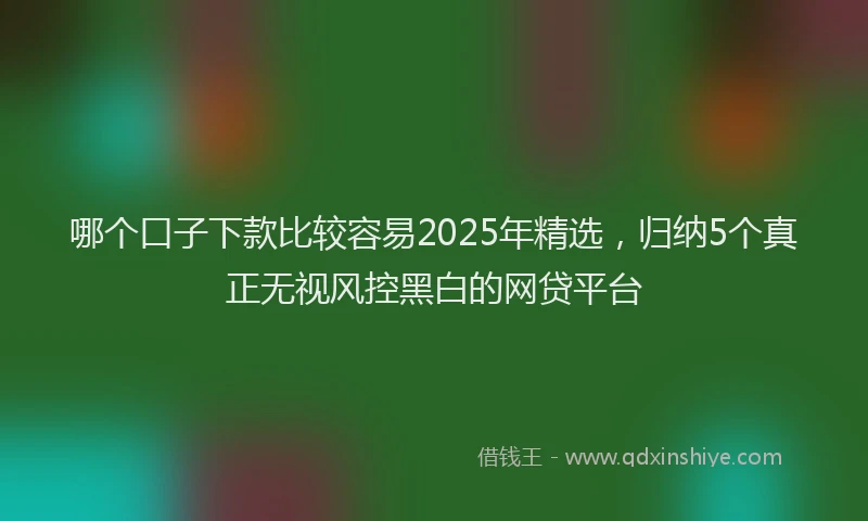 哪个口子下款比较容易2025年精选，归纳5个真正无视风控黑白的网贷平台