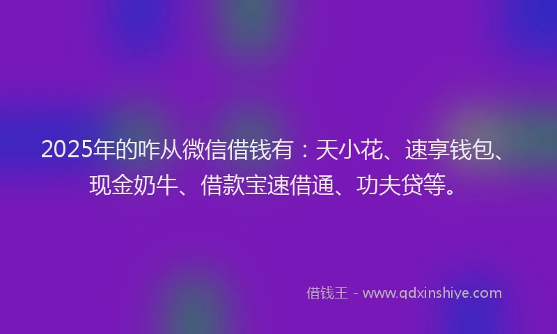 2025年的咋从微信借钱有：天小花、速享钱包、现金奶牛、借款宝速借通、功夫贷等。