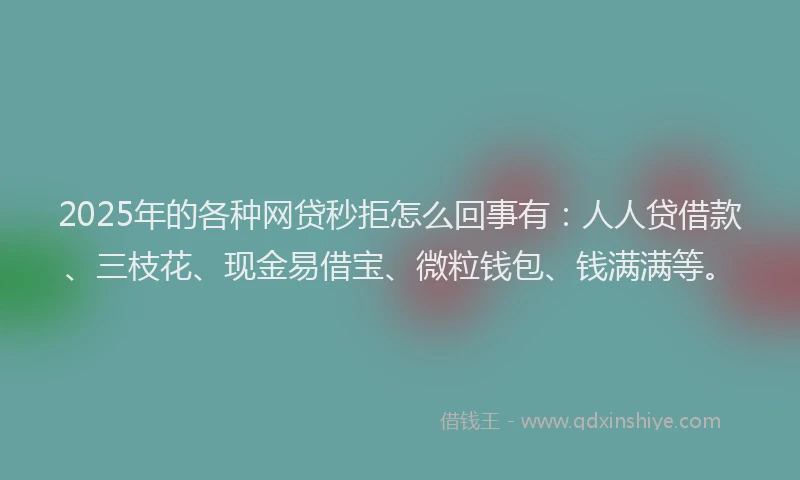 2025年的各种网贷秒拒怎么回事有：人人贷借款、三枝花、现金易借宝、微粒钱包、钱满满等。