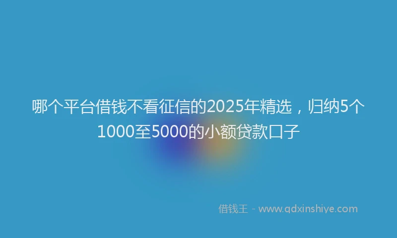 哪个平台借钱不看征信的2025年精选，归纳5个1000至5000的小额贷款口子