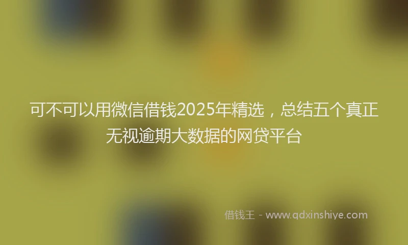 可不可以用微信借钱2025年精选，总结五个真正无视逾期大数据的网贷平台