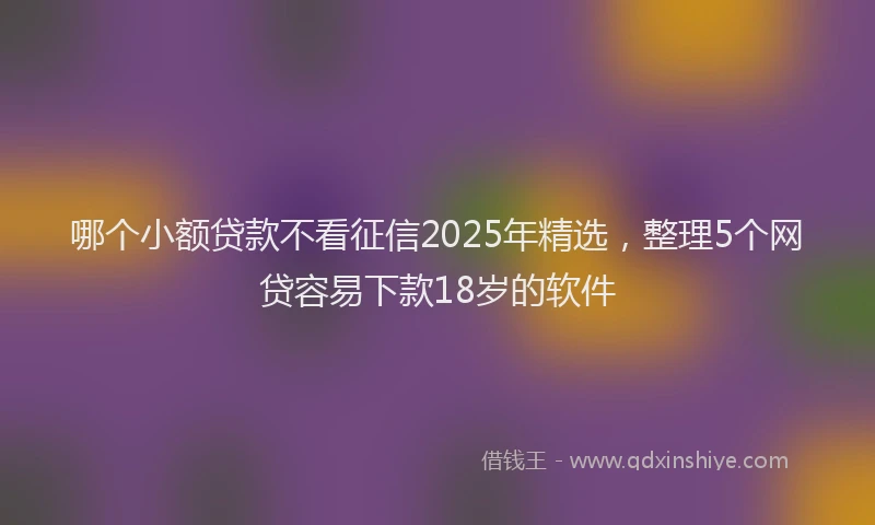 哪个小额贷款不看征信2025年精选，整理5个网贷容易下款18岁的软件